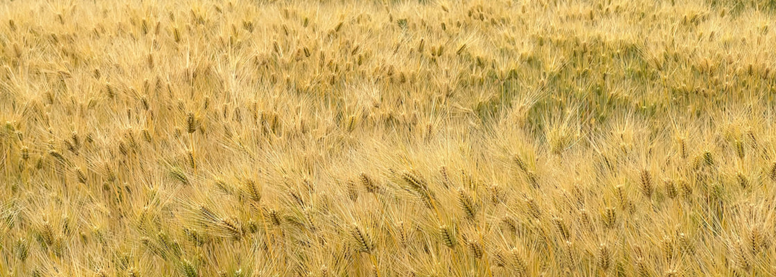 富山県高岡市で