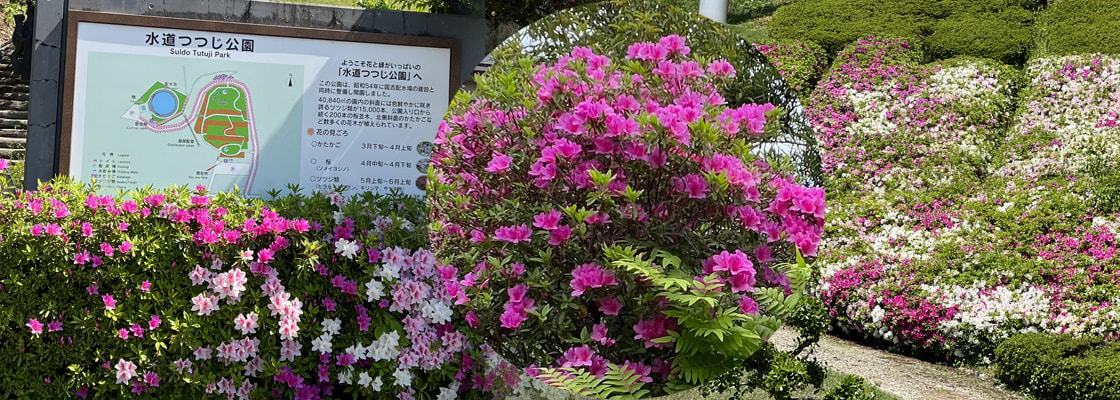 高岡の今を綴ります