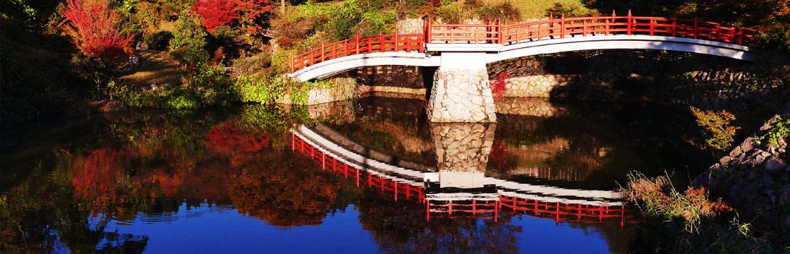 生まれた人　暮らす人