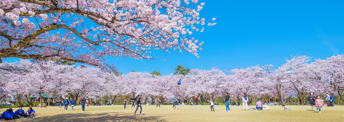 生まれた人　暮らす人
