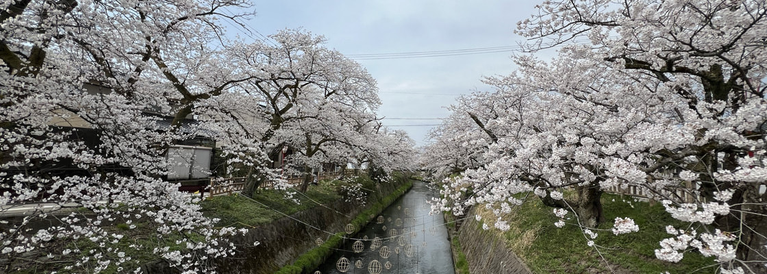 富山県高岡市で